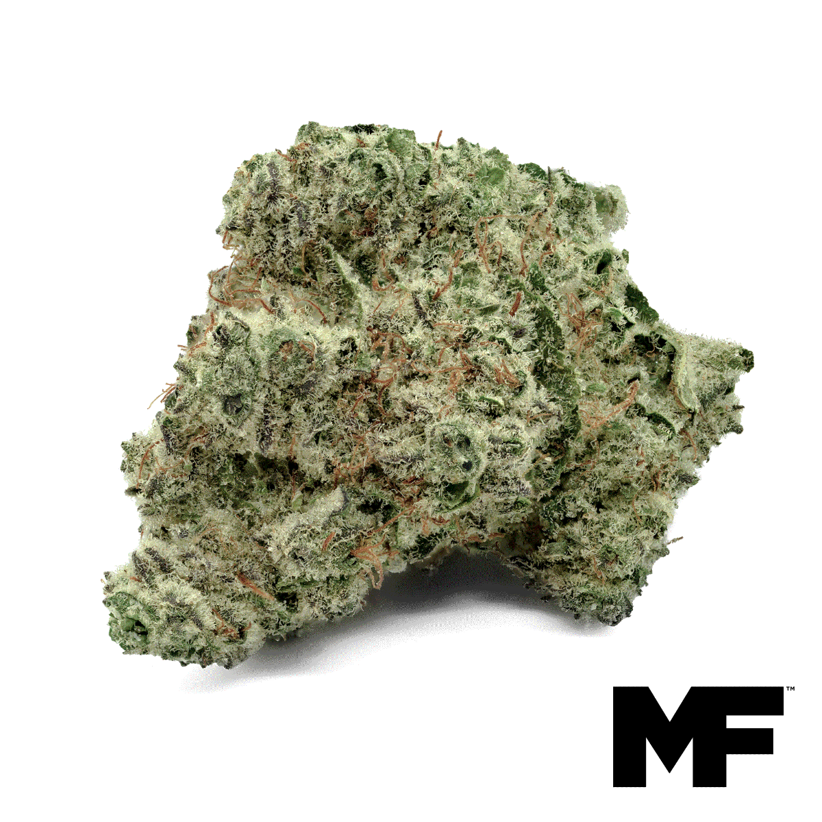Miami Vice Flower