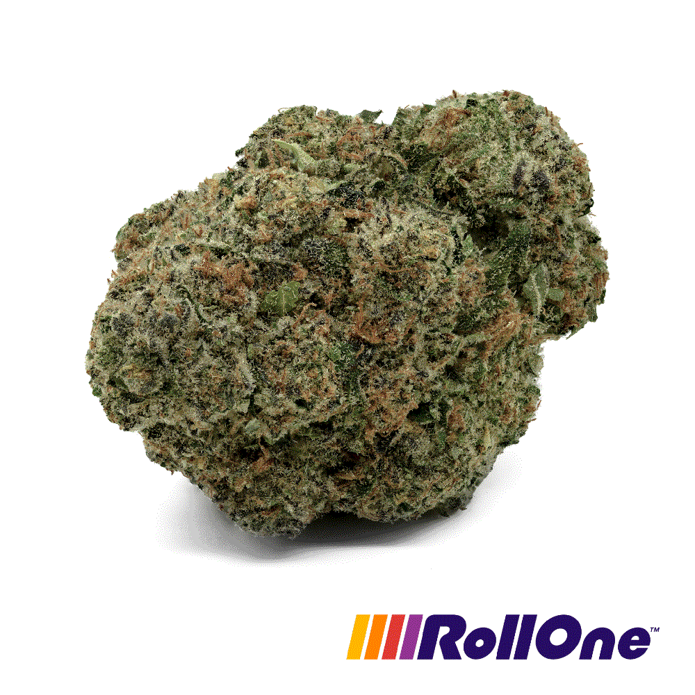Gasoline Dream Flower