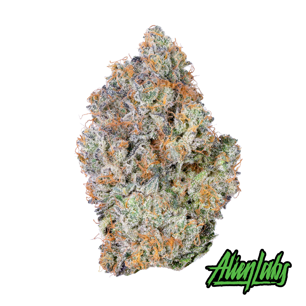BKSatellite Flower