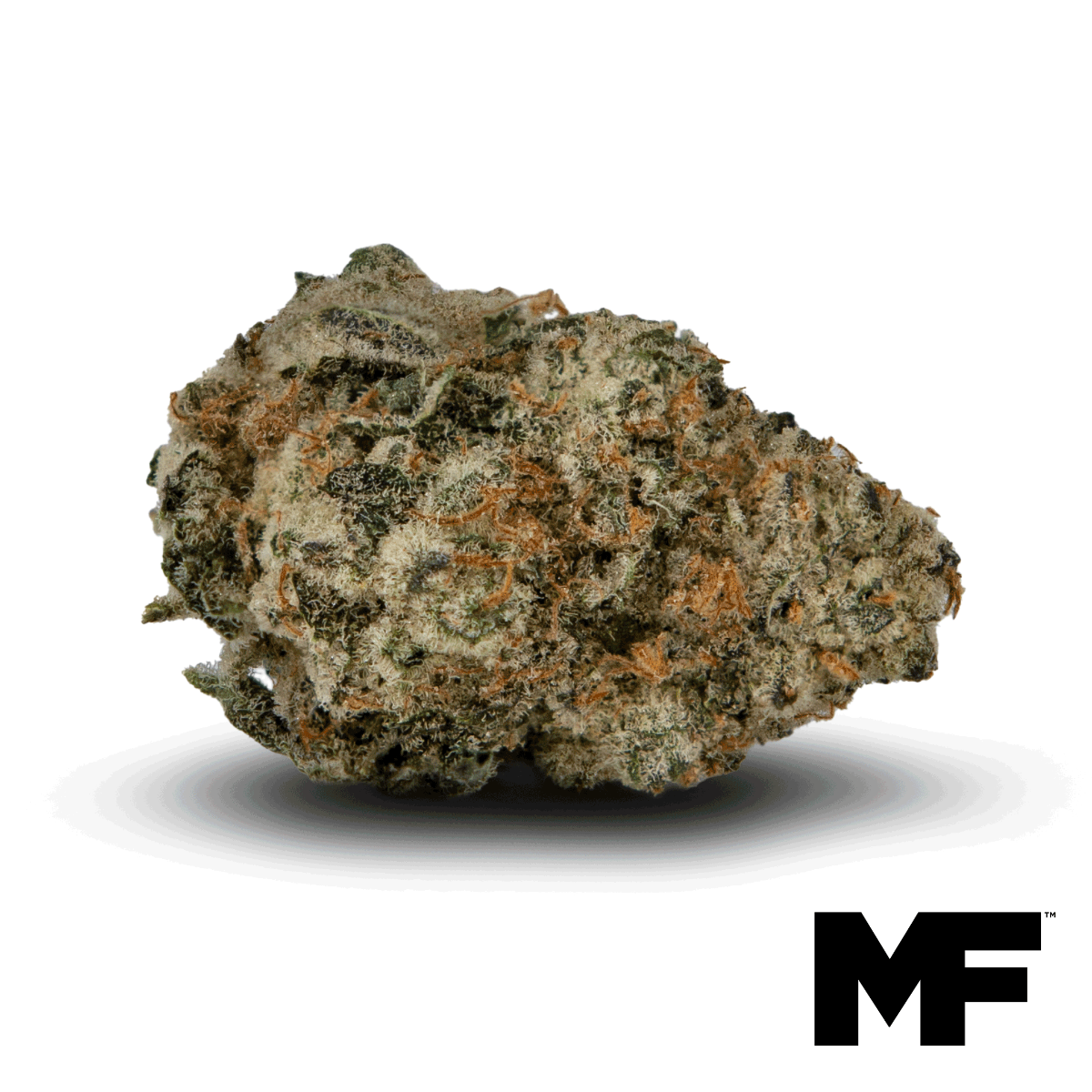 Miami Queso Flower