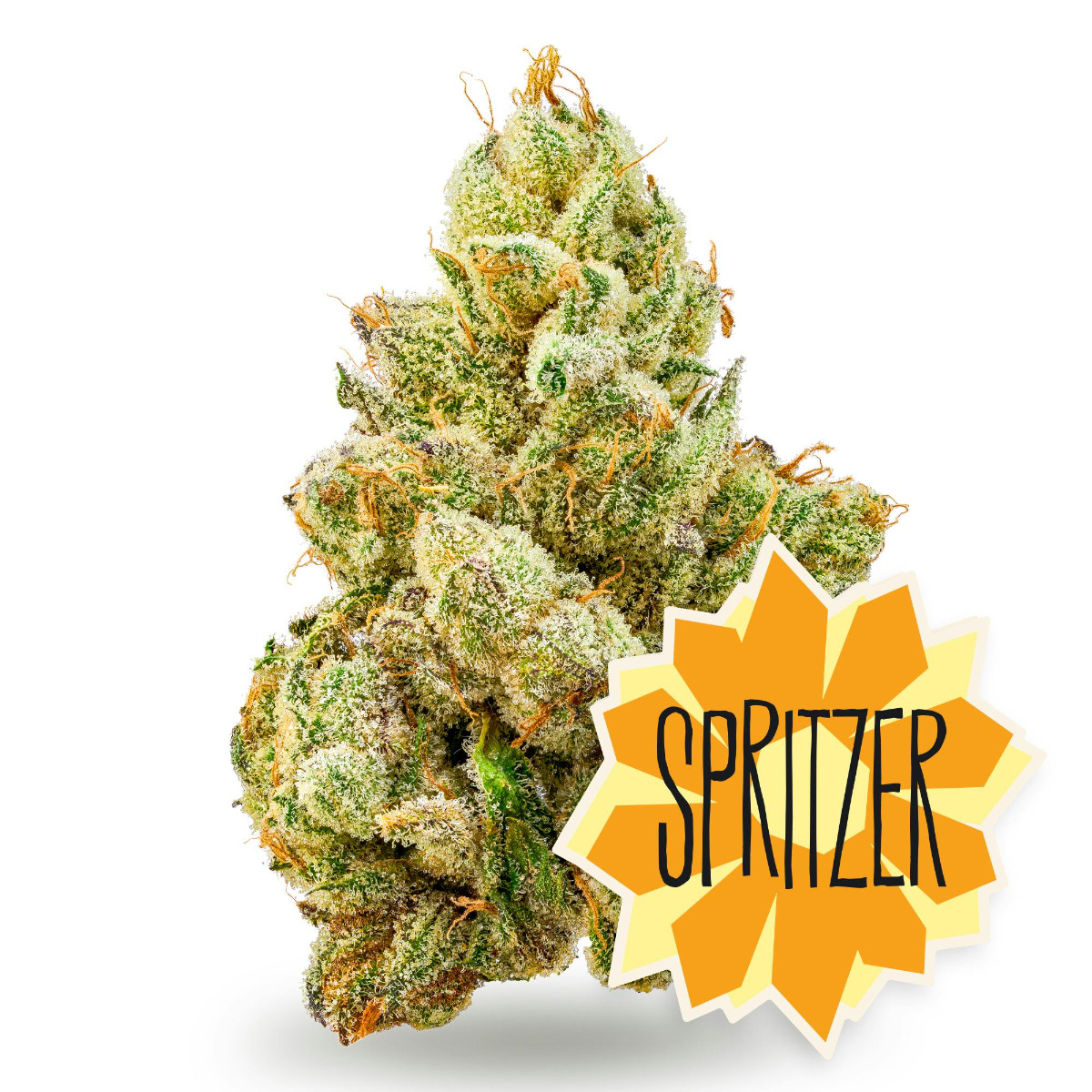Spritzer Flower