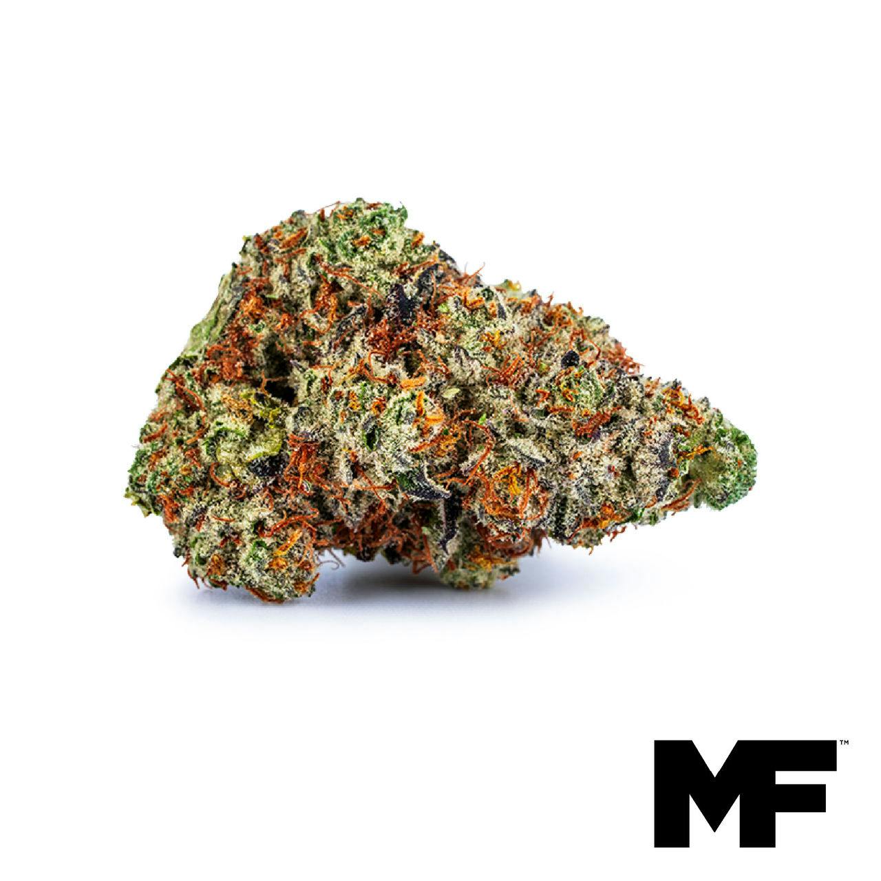 Image of Blue Beach Haze Flower