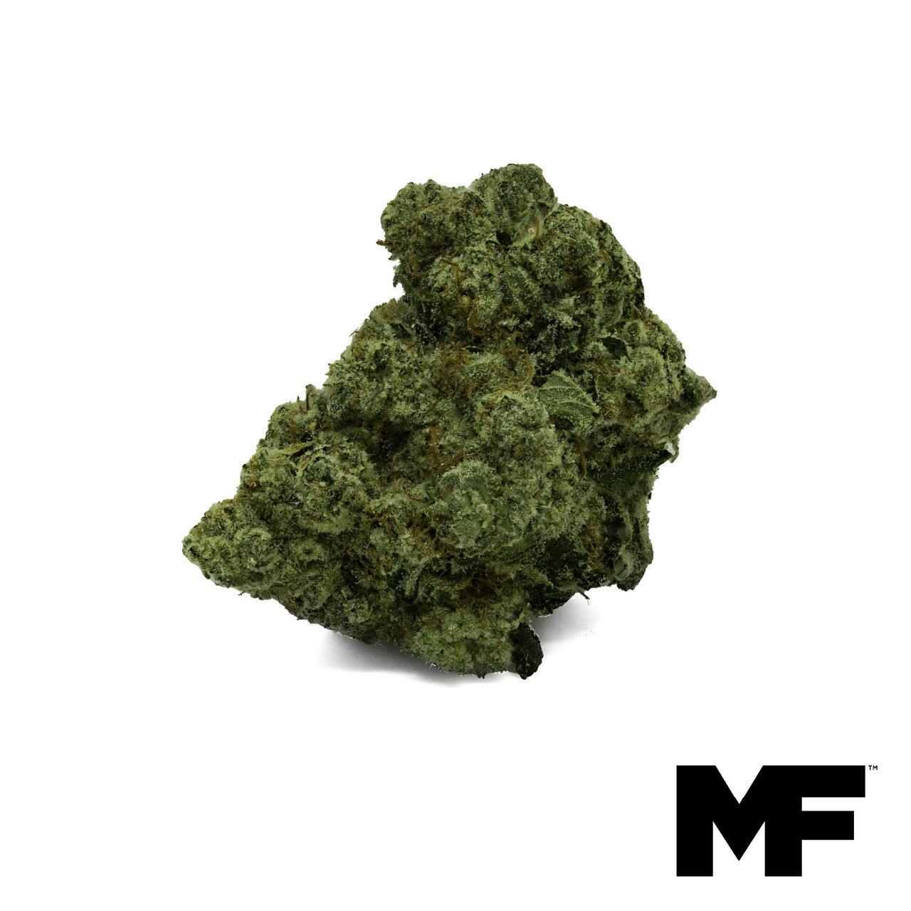 Motor Breath Flower