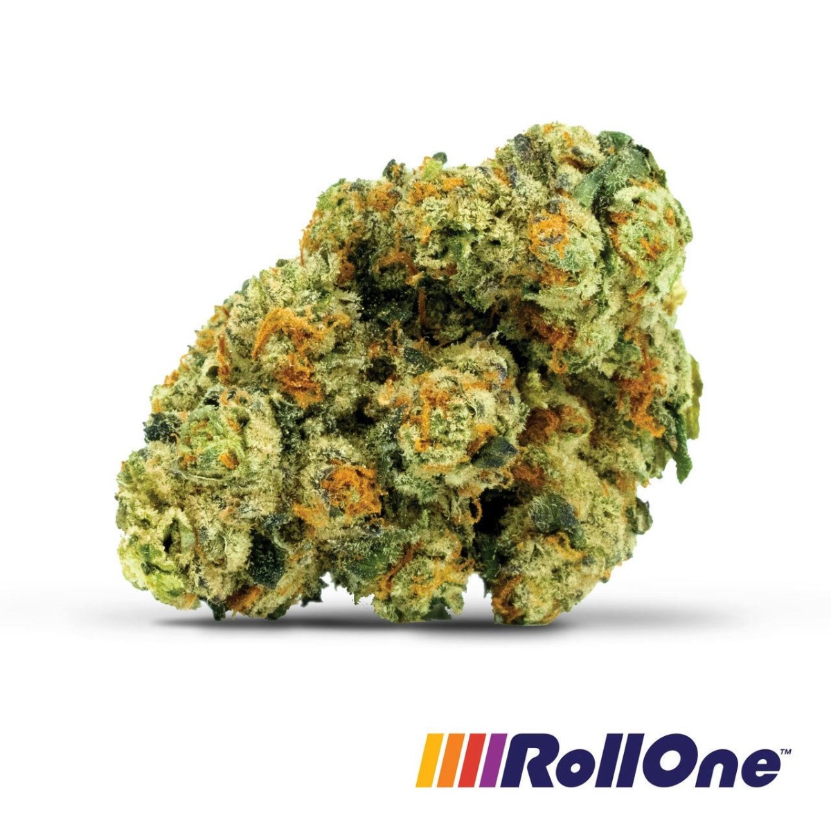 Image of Black Diamond Flower