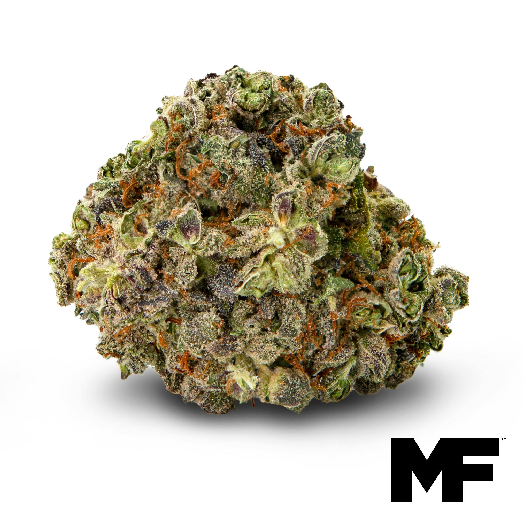 Image of Cider Face Flower