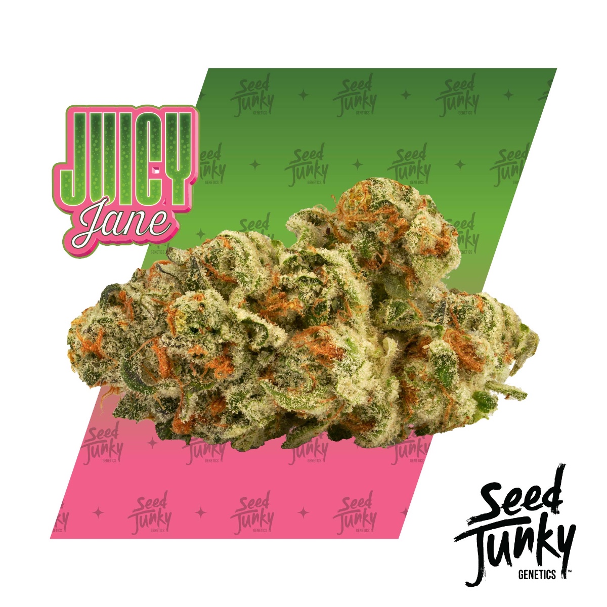 Juicy Jane Flower