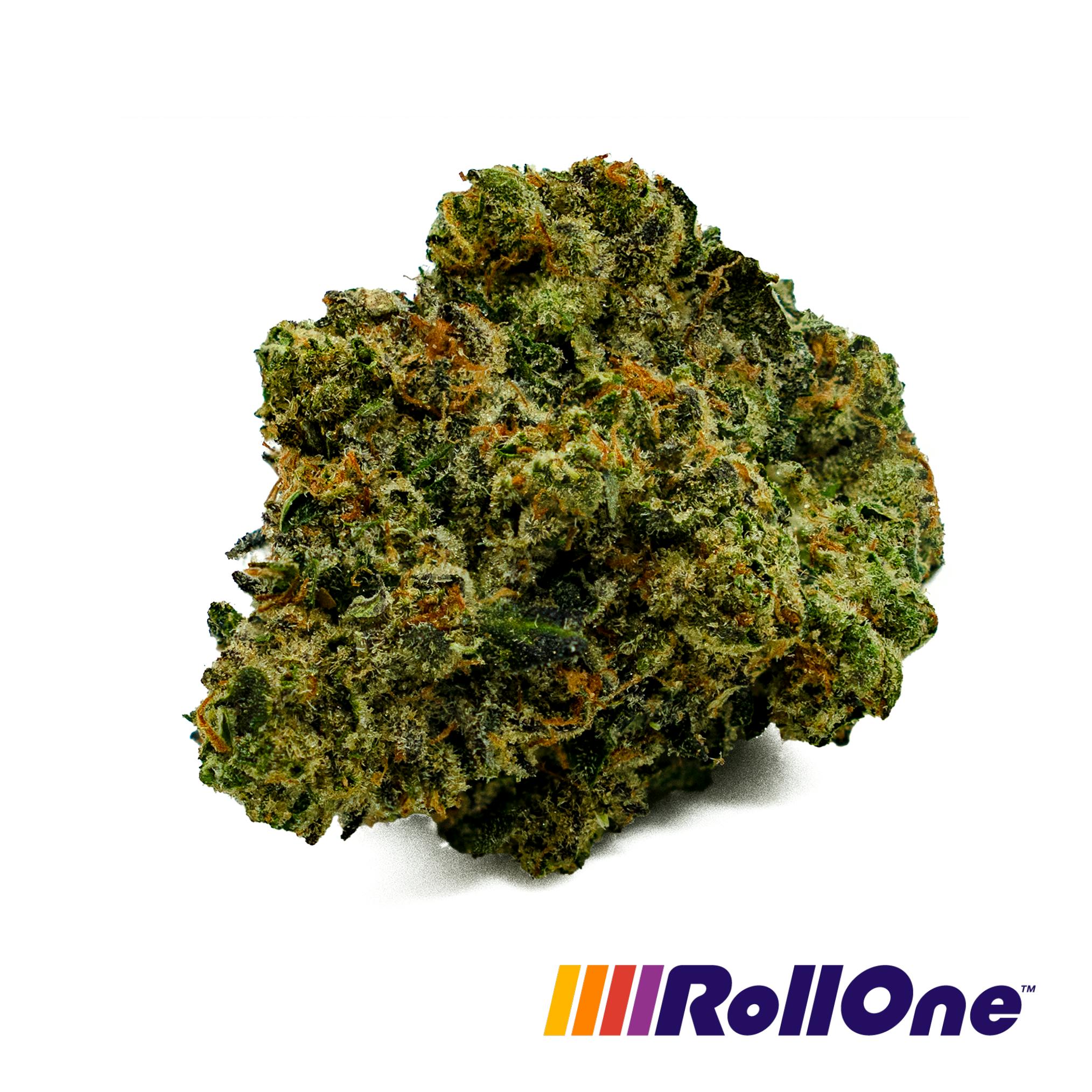 Palisades Mint Flower