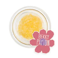 Image of Berry Payton Live Sugar