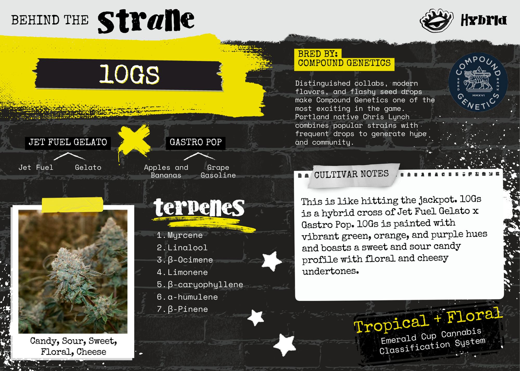 Shop STR-FlowerT1-3.5g-10Gs-H-MD Online | Trulieve