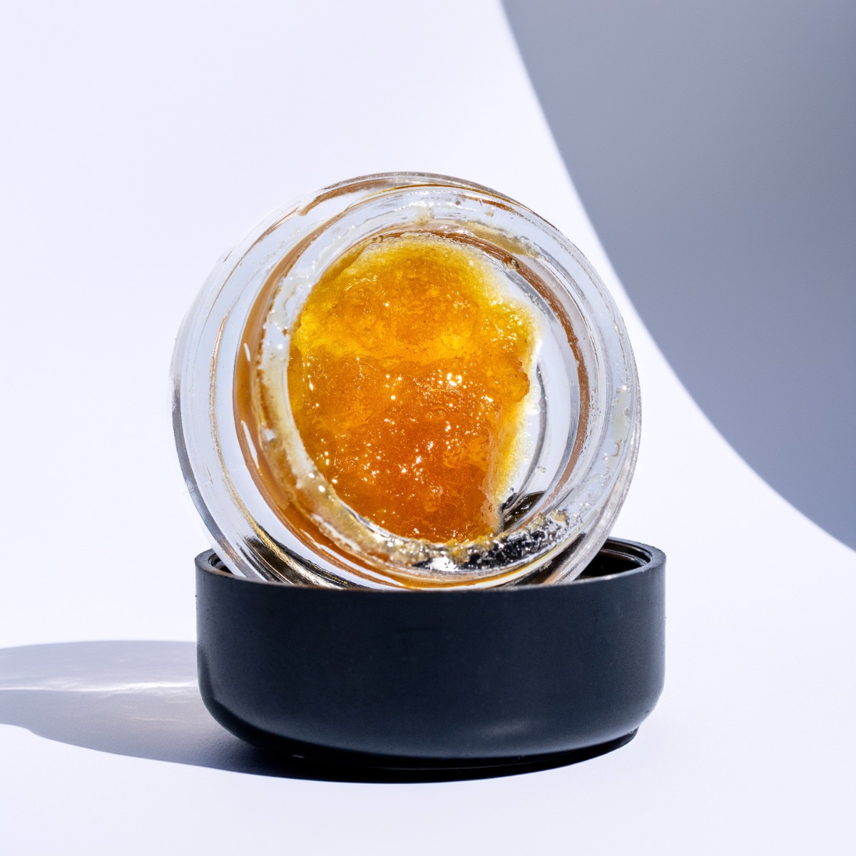 Image of Member Berry Live Sugar Bucket