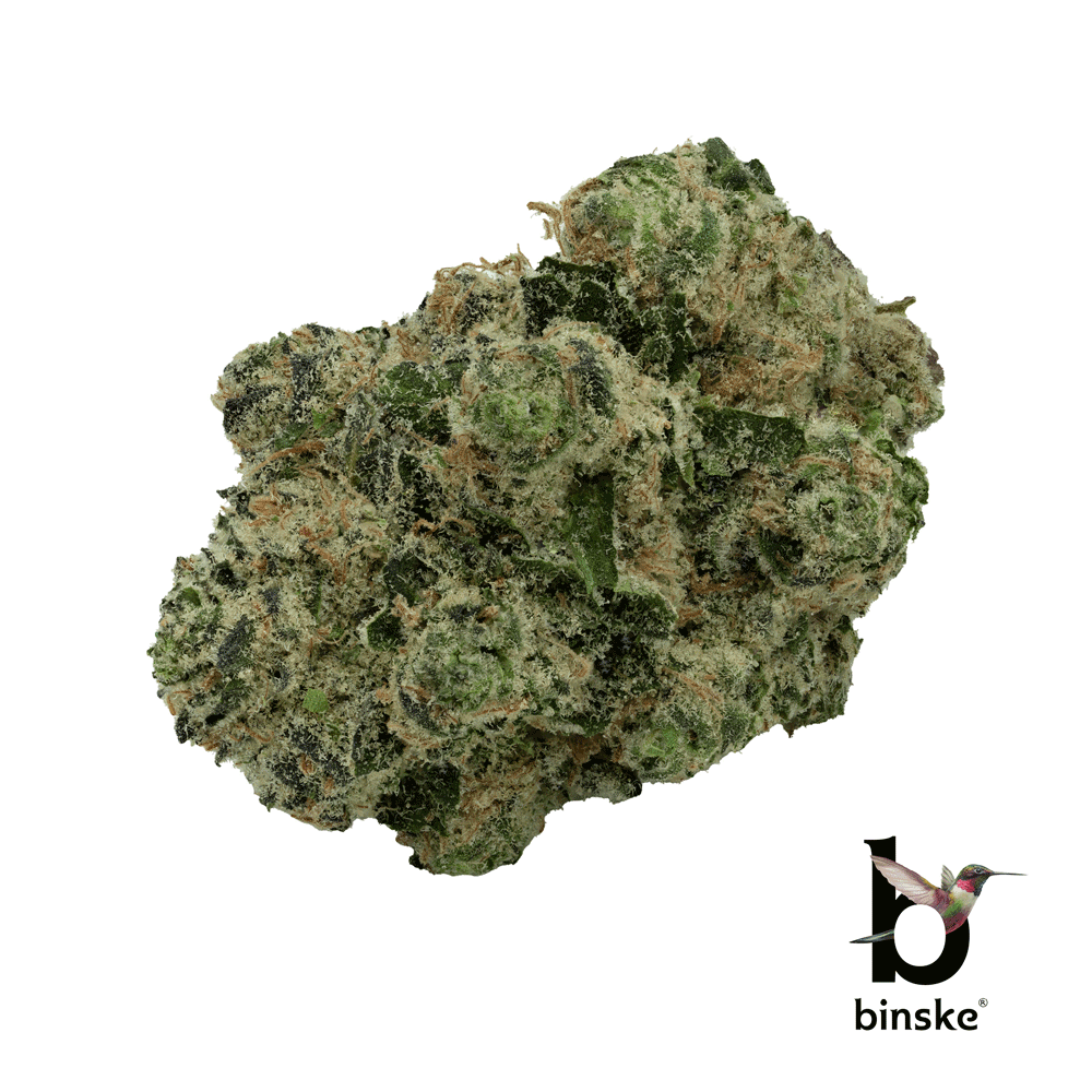 Image of Midnight Magic Flower