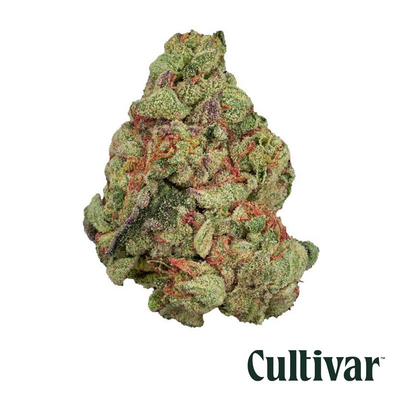 Northern Hashplant Flower