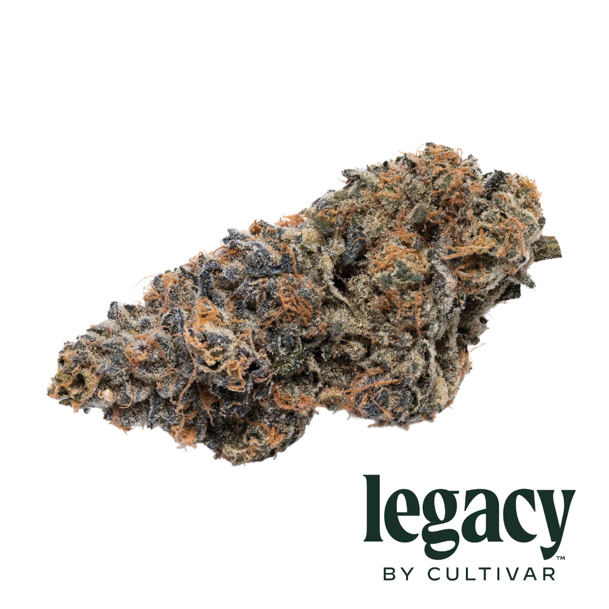 Image of Purple Prototype Flower