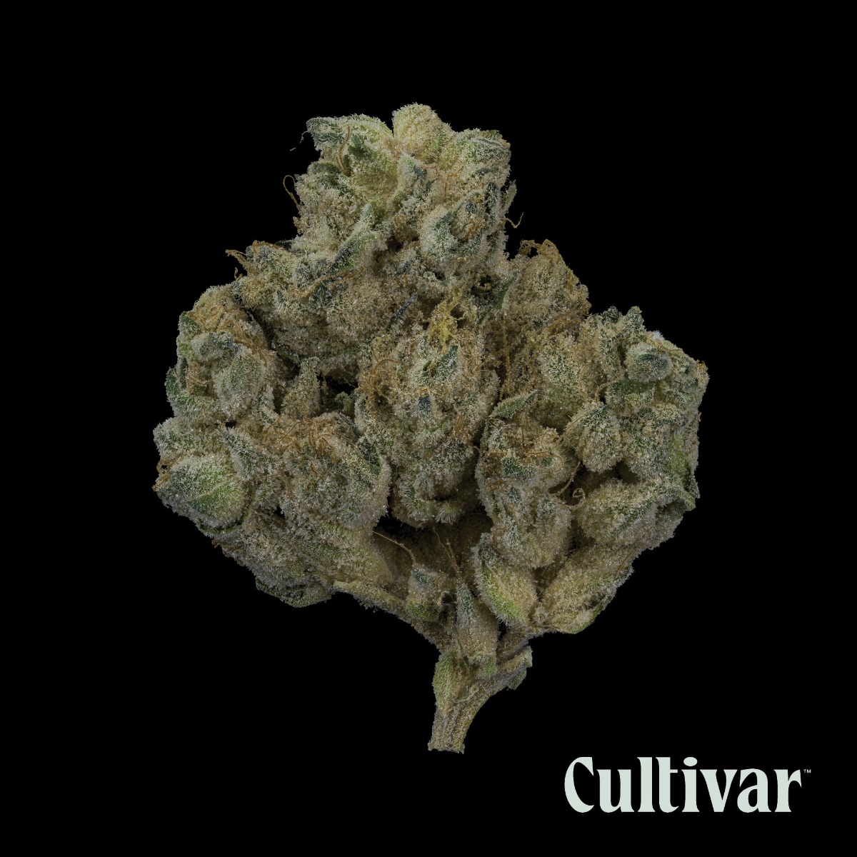 Hippie Crasher - Whole Flower 3.5G