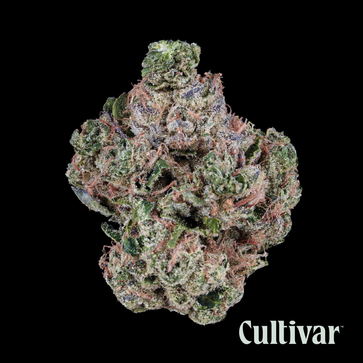 Rae Bae - Whole Flower 3.5G