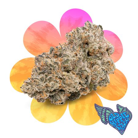 Image of Bird Dog Flower