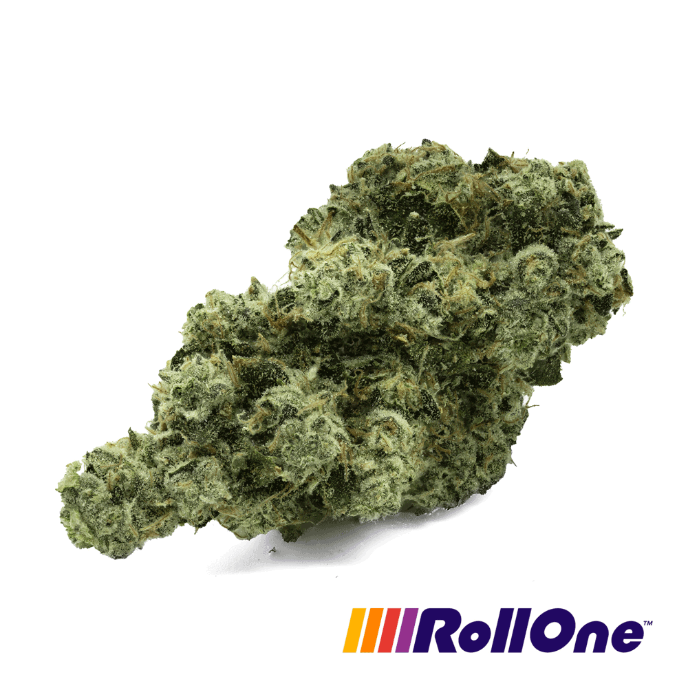 St. Marks Skunk Flower