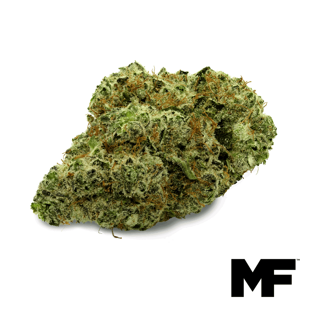 Image of Solomon Grundy Flower