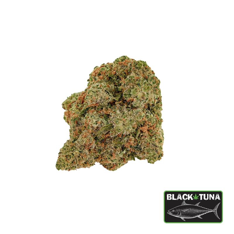 Reefer Shark Flower