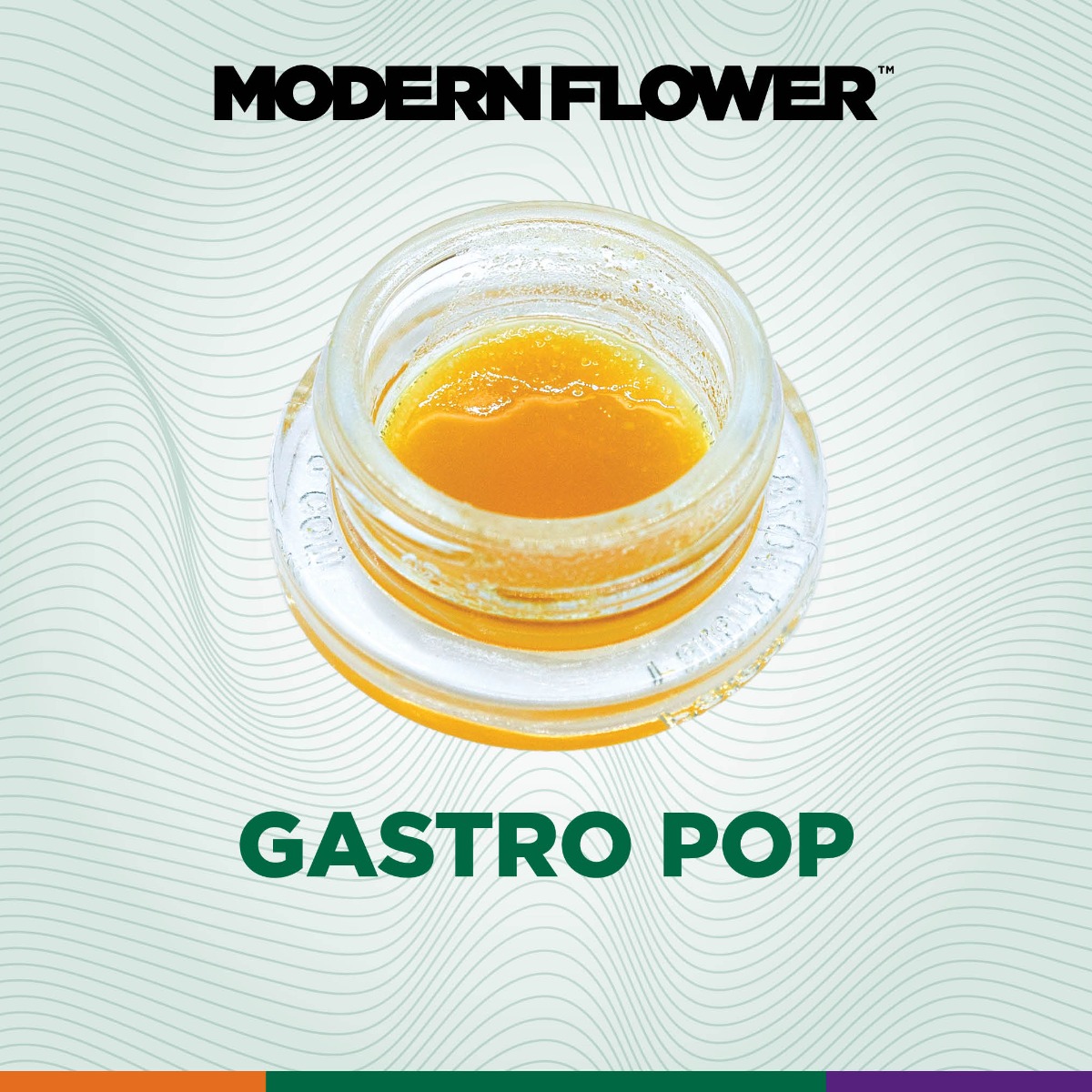 Gastro Pop Live Budder