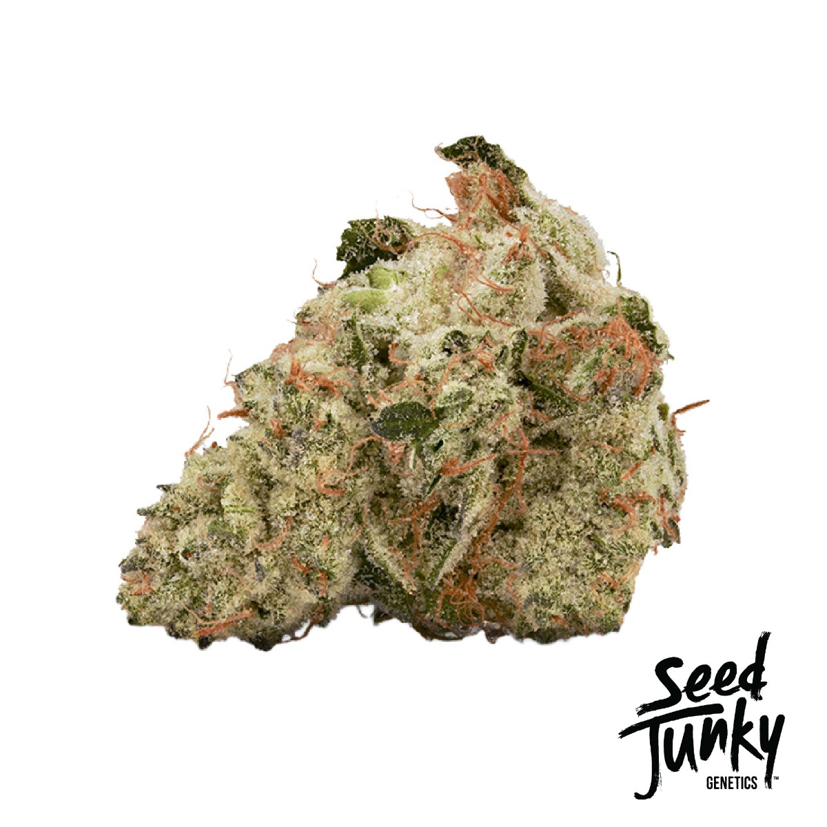 Cherry Cap