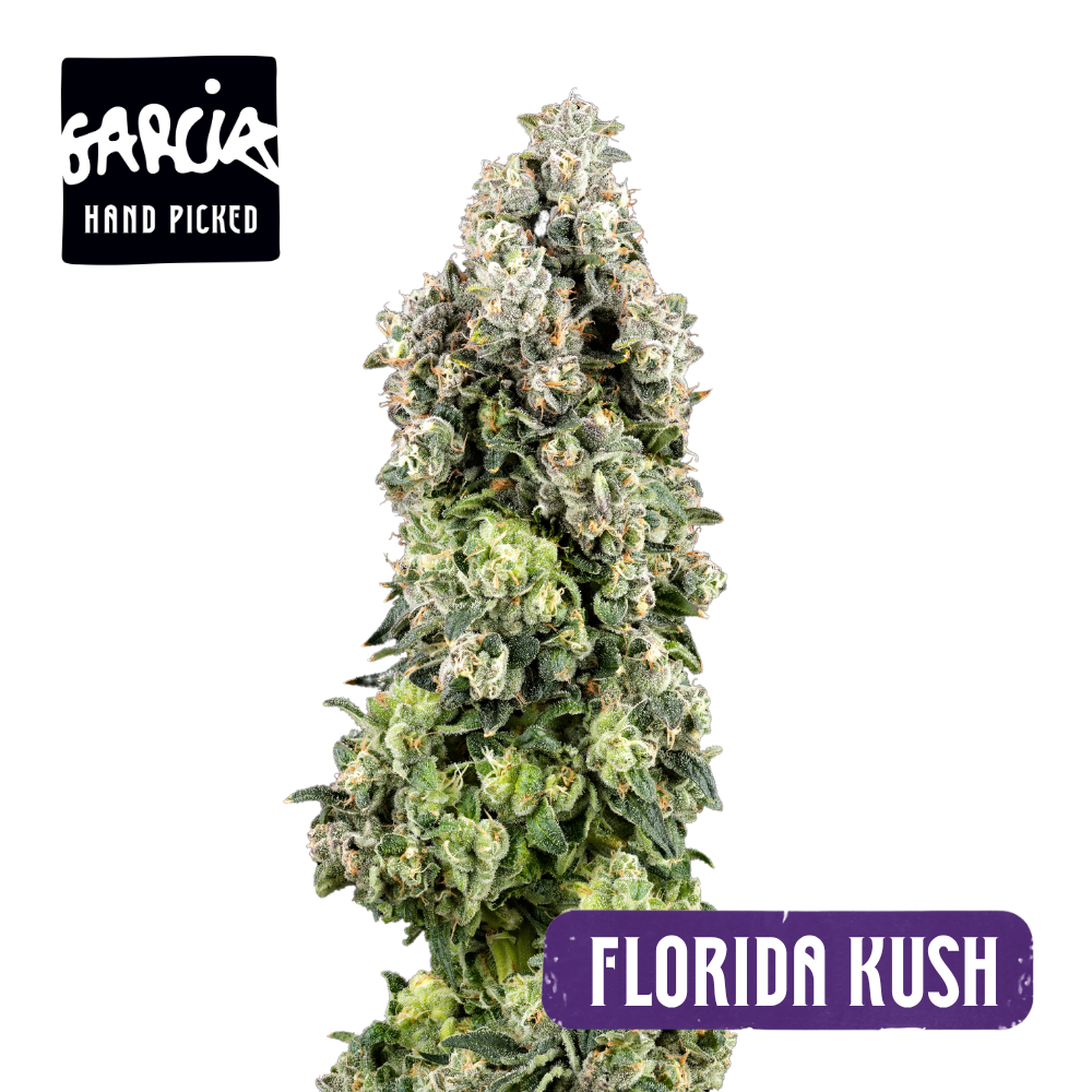 Image of Florida Kush Flower