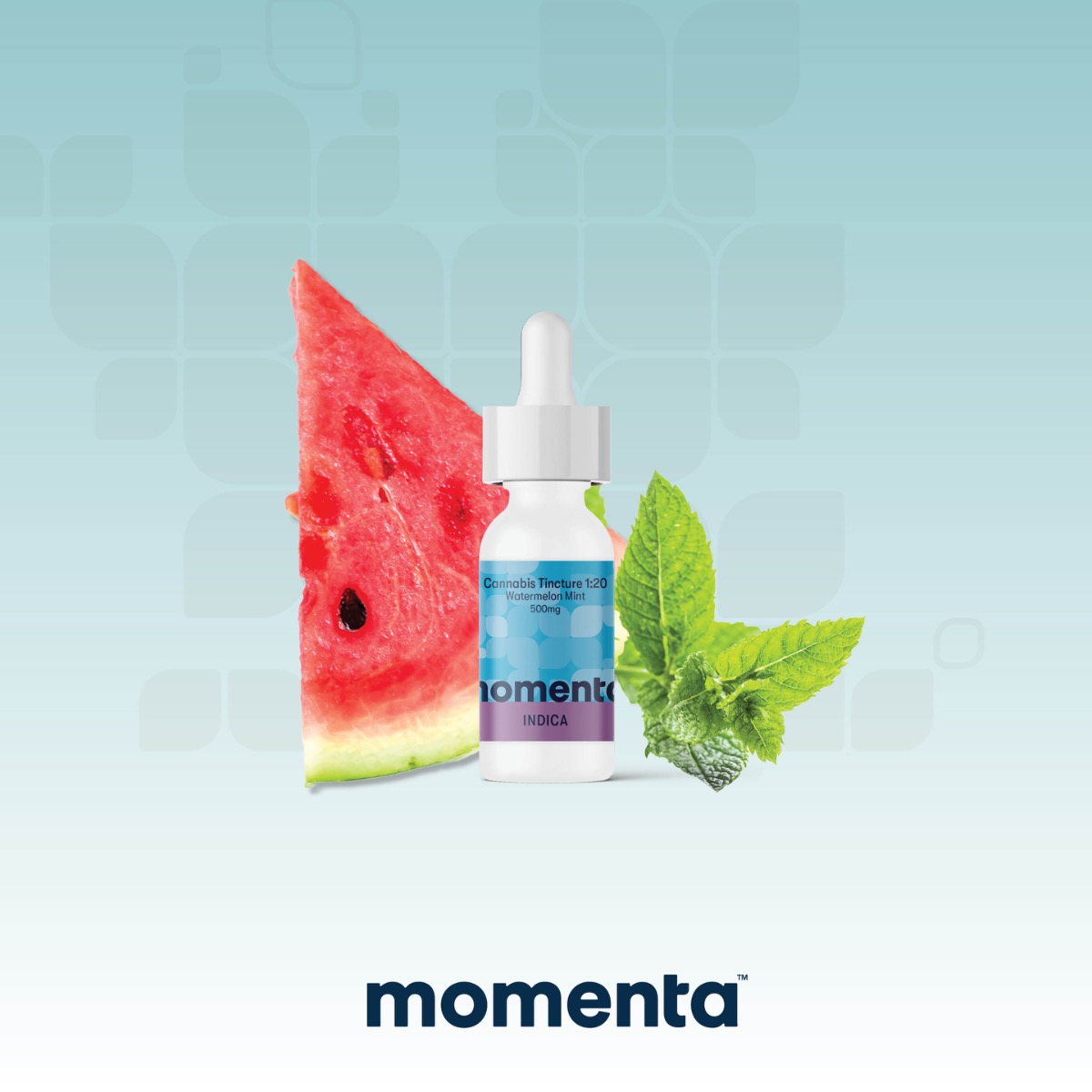 Image of Watermelon Mint Tincture Ratio
