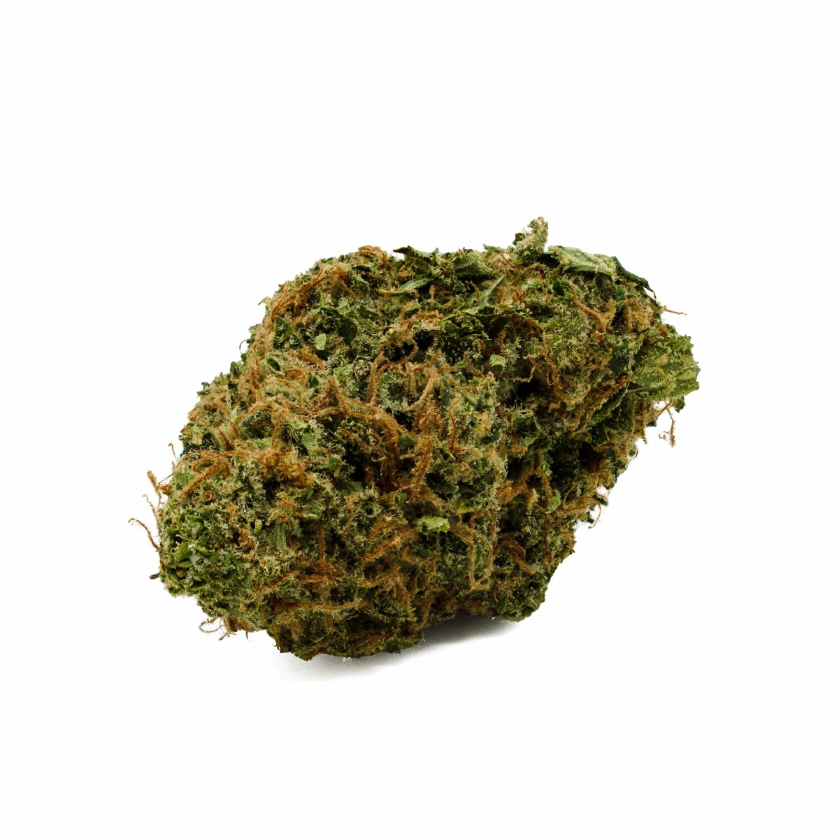 Lemon Skunk Flower