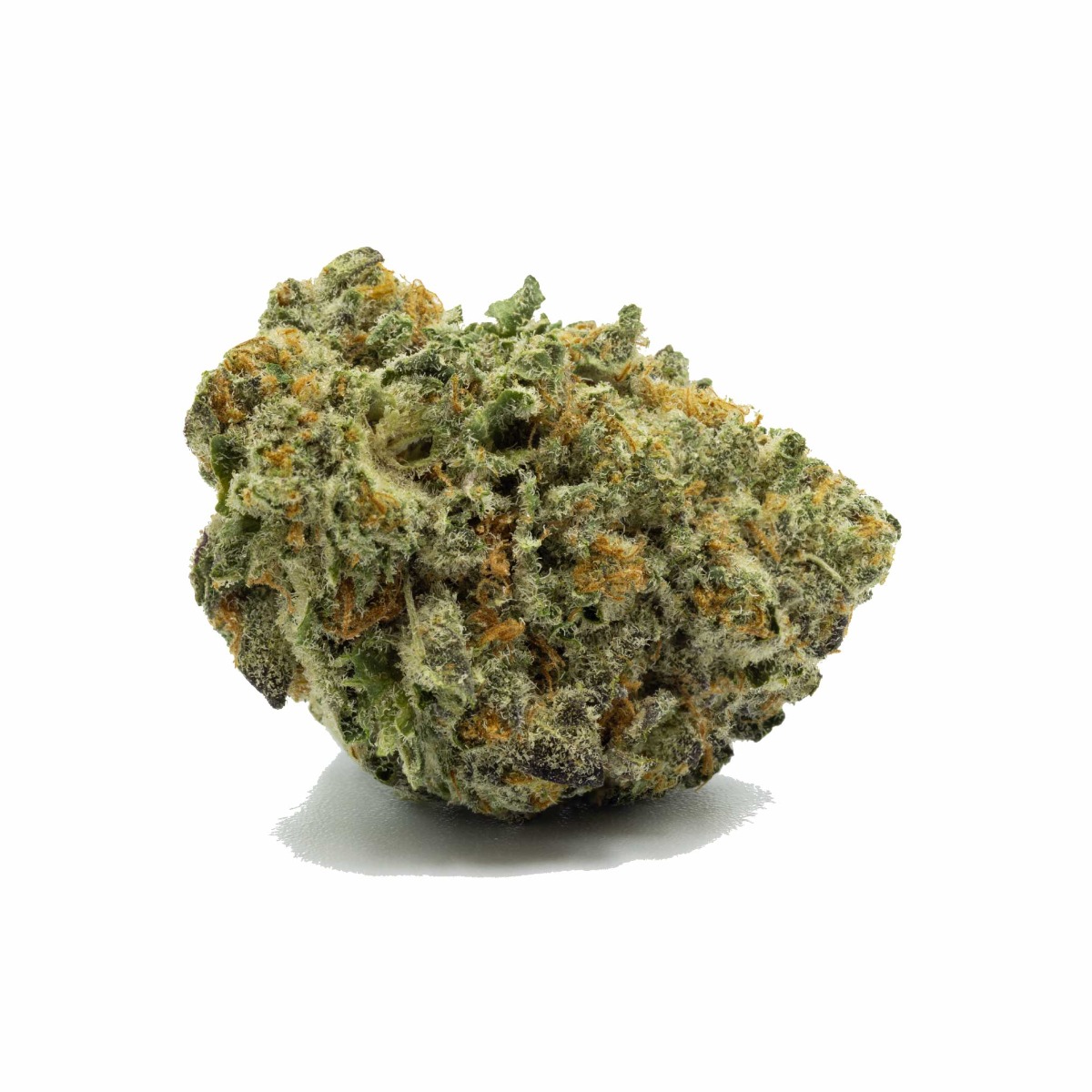 Image of Big Buns Flower