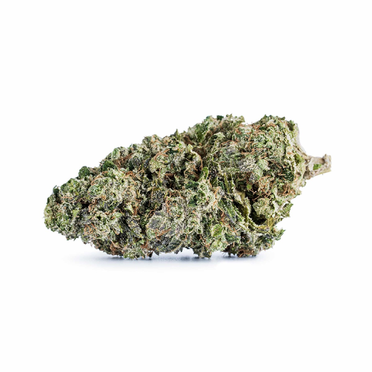 Image of Pink Runtz Flower