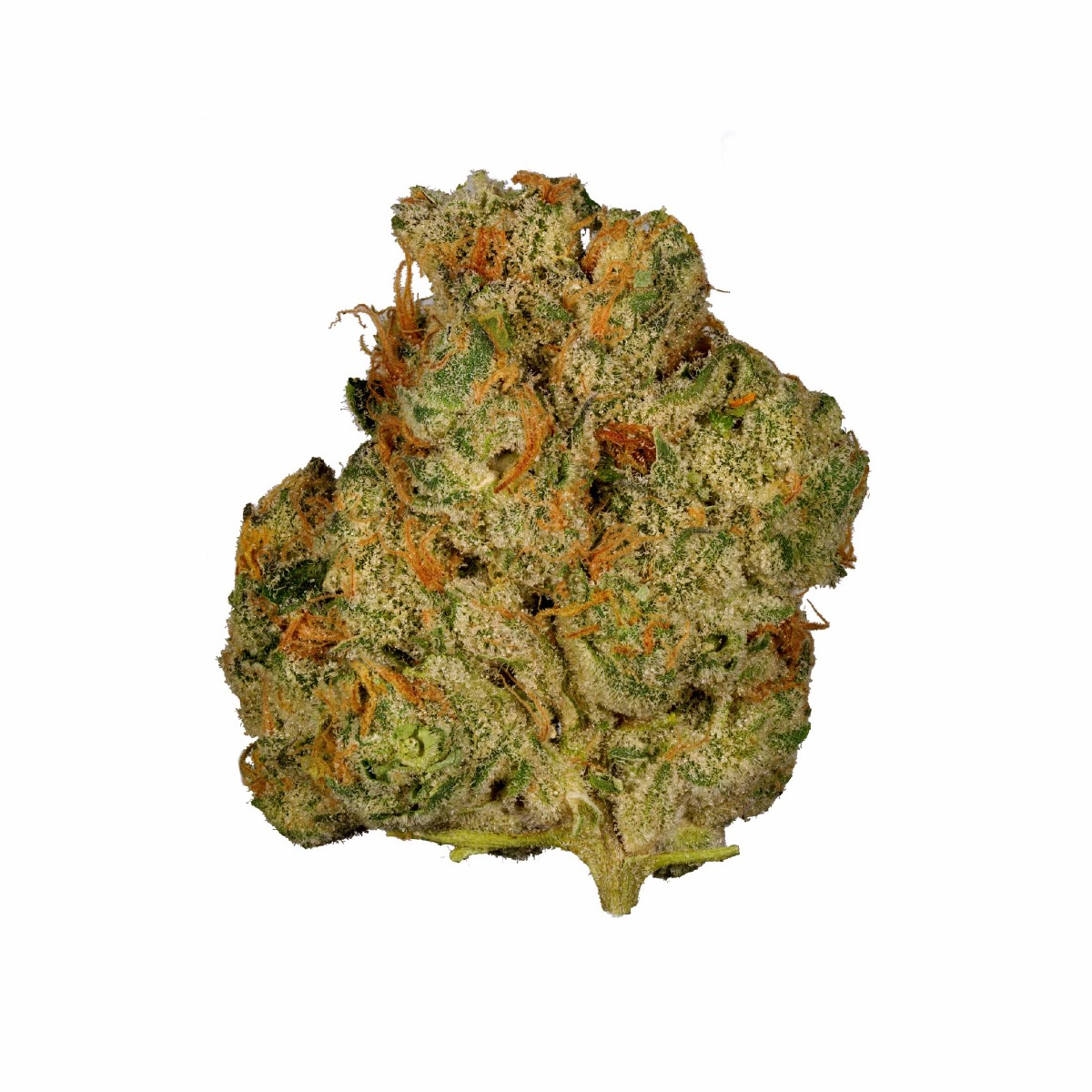 Image of Snack Pak Flower