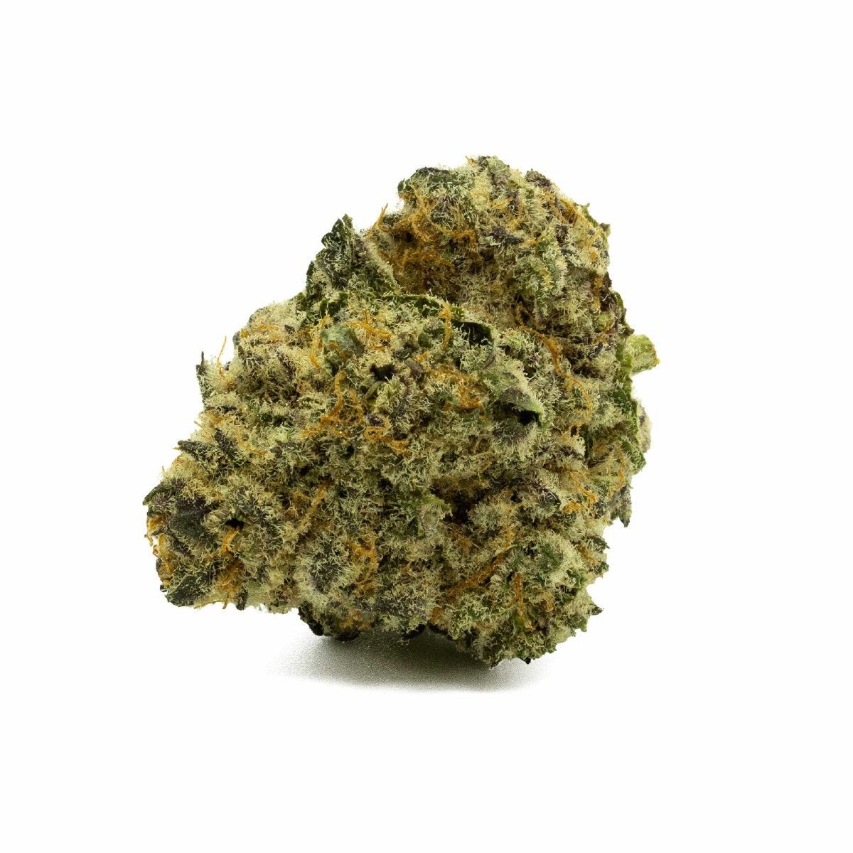 Image of Vice City Flower