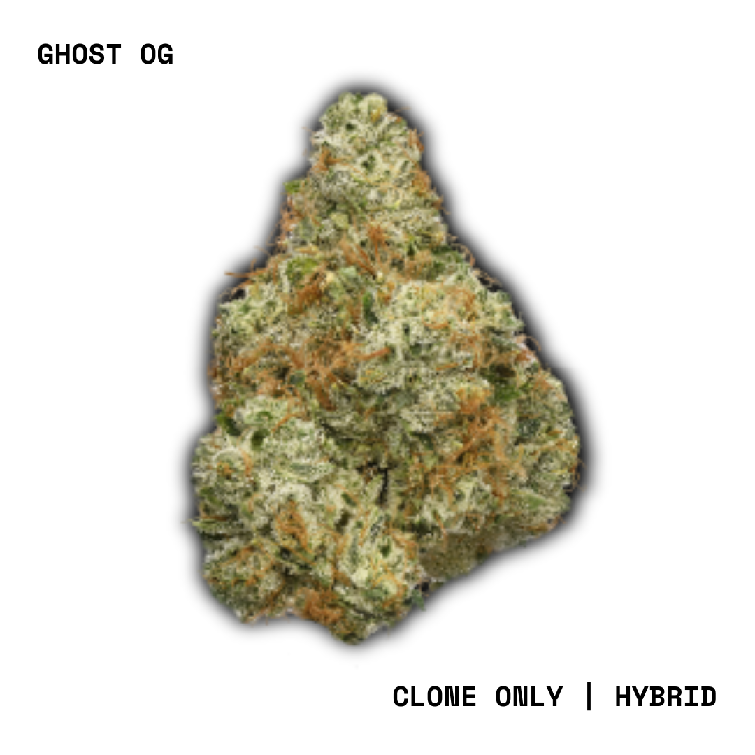 Shop CNC-Flower-3.5g-GhostOG-H-FL Online | Trulieve