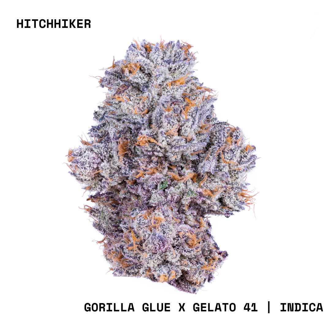 Shop CNC-BSides-7g-Hitchhiker-I-FL Online | Trulieve