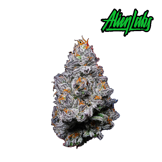 Krypto Chronic Flower