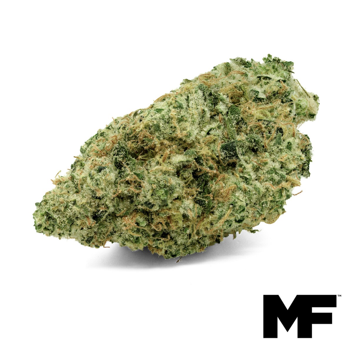 Tropical Cream Cake Primo Flower