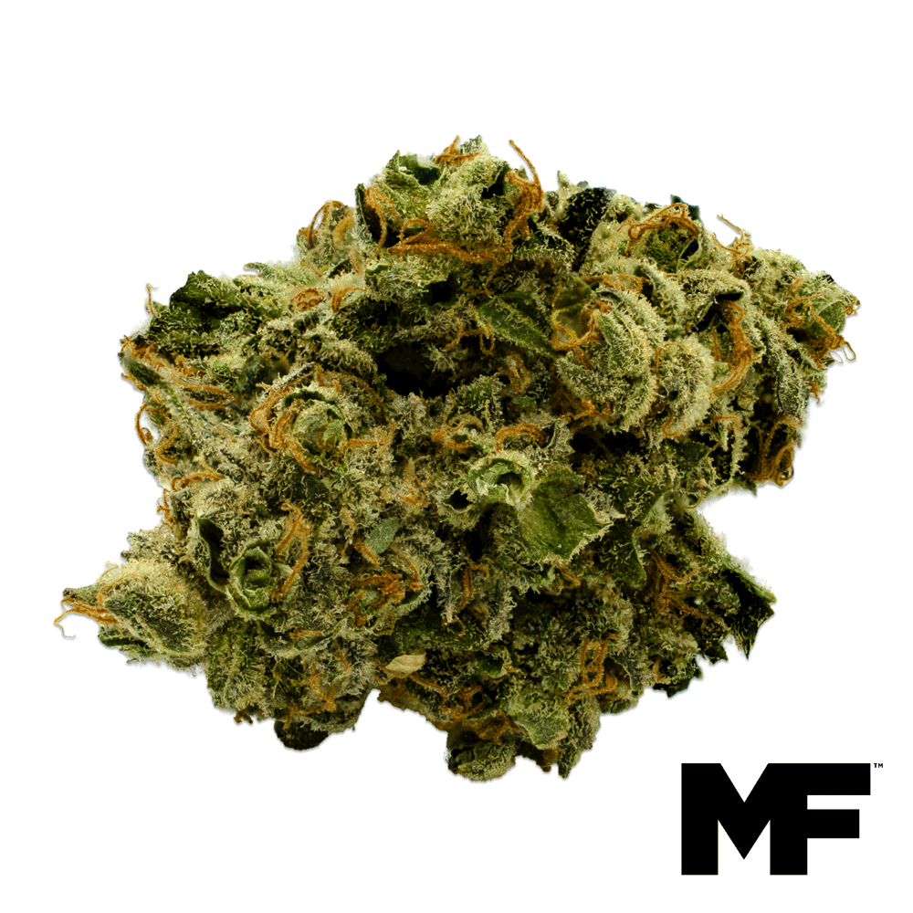 Sour Amazon Flower