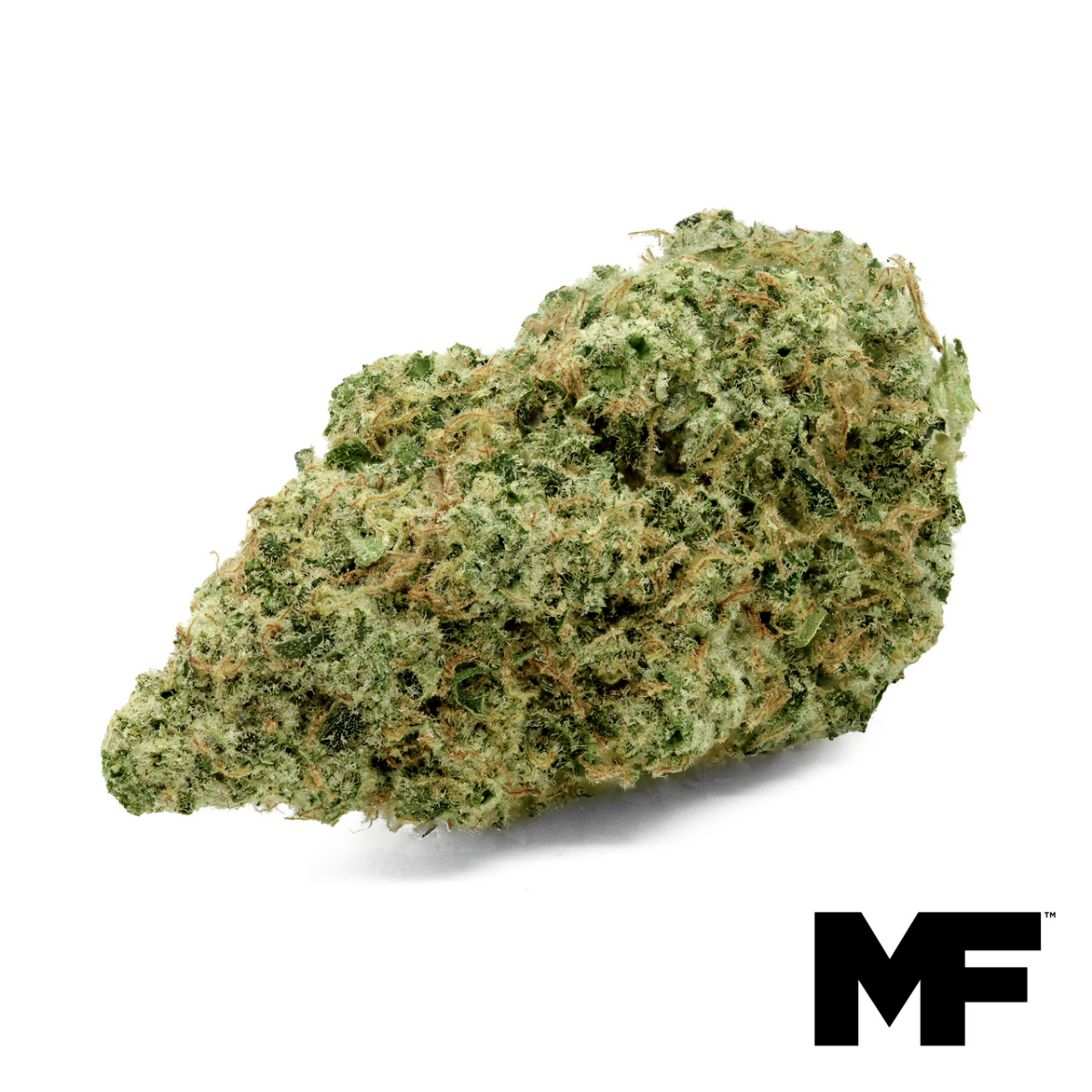 Image of Citrus Bliss Flower
