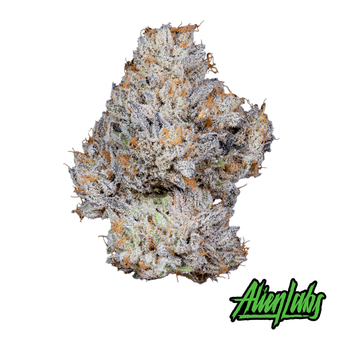 Creme De Menthe Flower