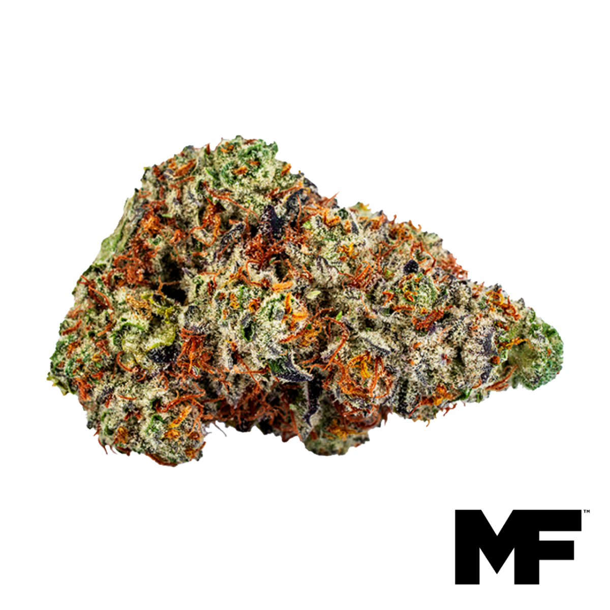 Blue Beach Haze Flower