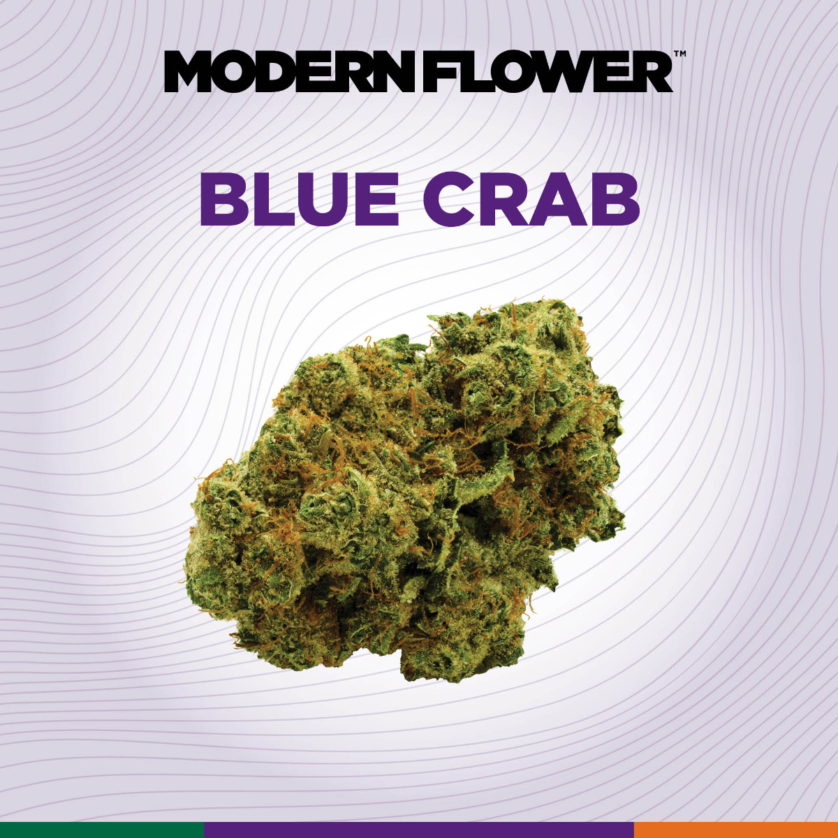 Shop MF-Flower-3.5g-BlueCrab-I-MD Online | Trulieve
