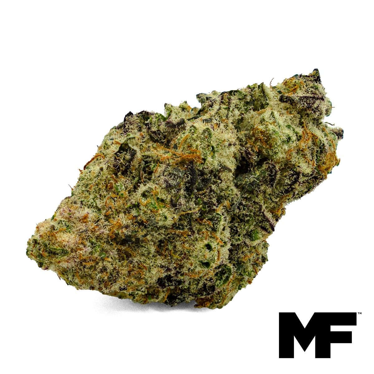 5Gs Purple F2 Flower