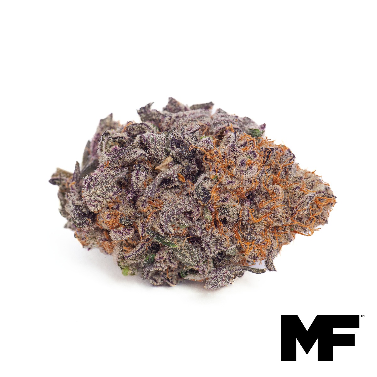 Raspberry Pnch Flower