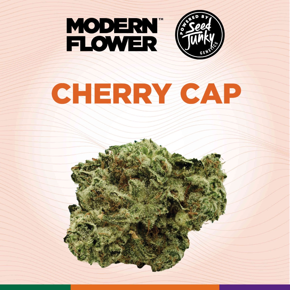 Shop MF-FLOWER-3.5G-CHRRYCP-S-FL Online | Trulieve