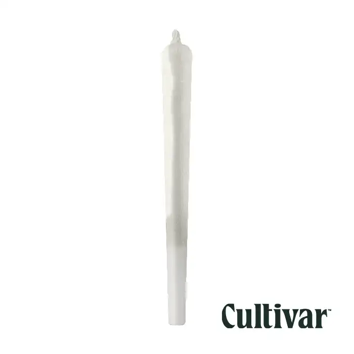 Image of Banana Bliss Single Pre-Roll