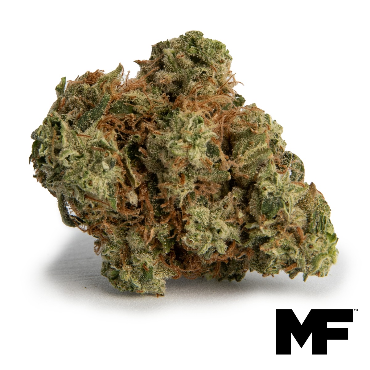 I-79 Flower