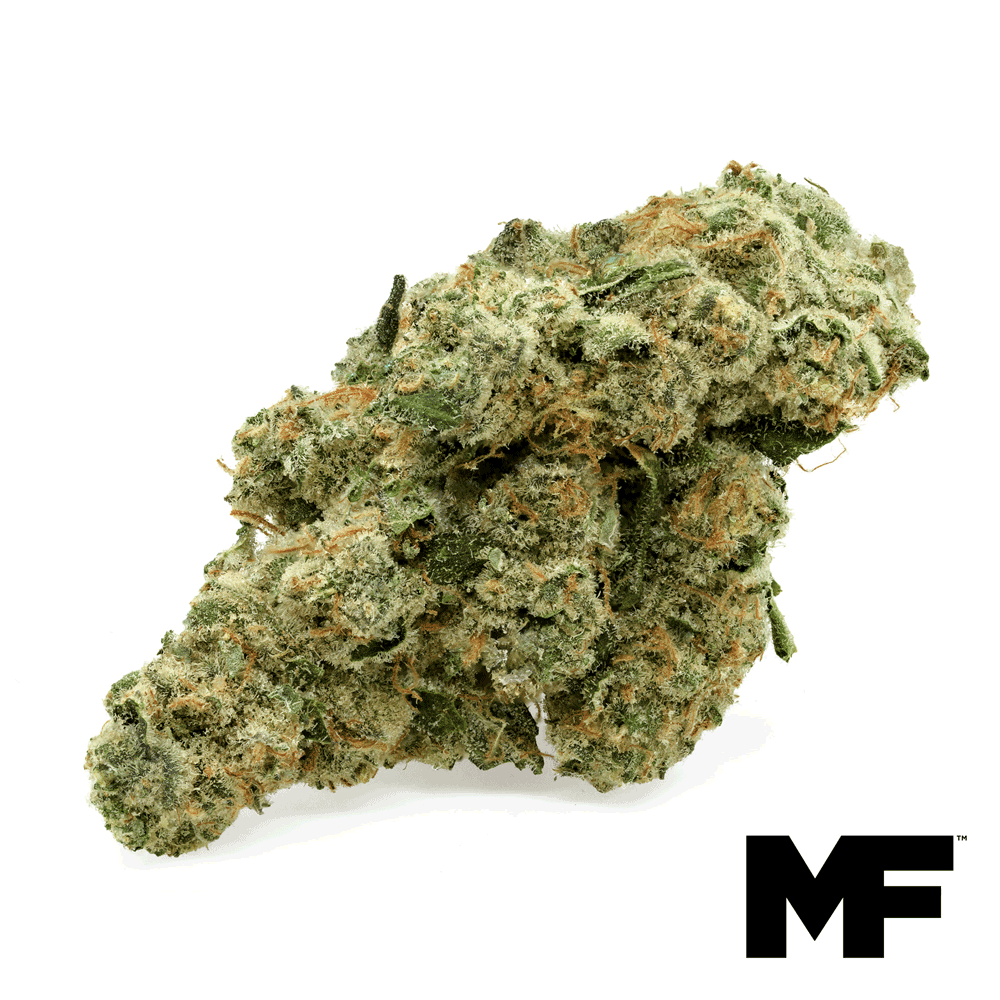 Royal Cheese Flower