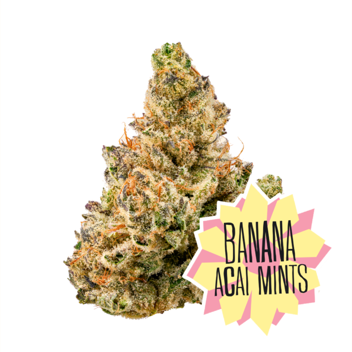 Banana トリミングドット＆チュール紫陽花 S6本M4本 Shop DC-FlowerT1-14g-BananaAcaiMints-I-MD Online | Trulieve