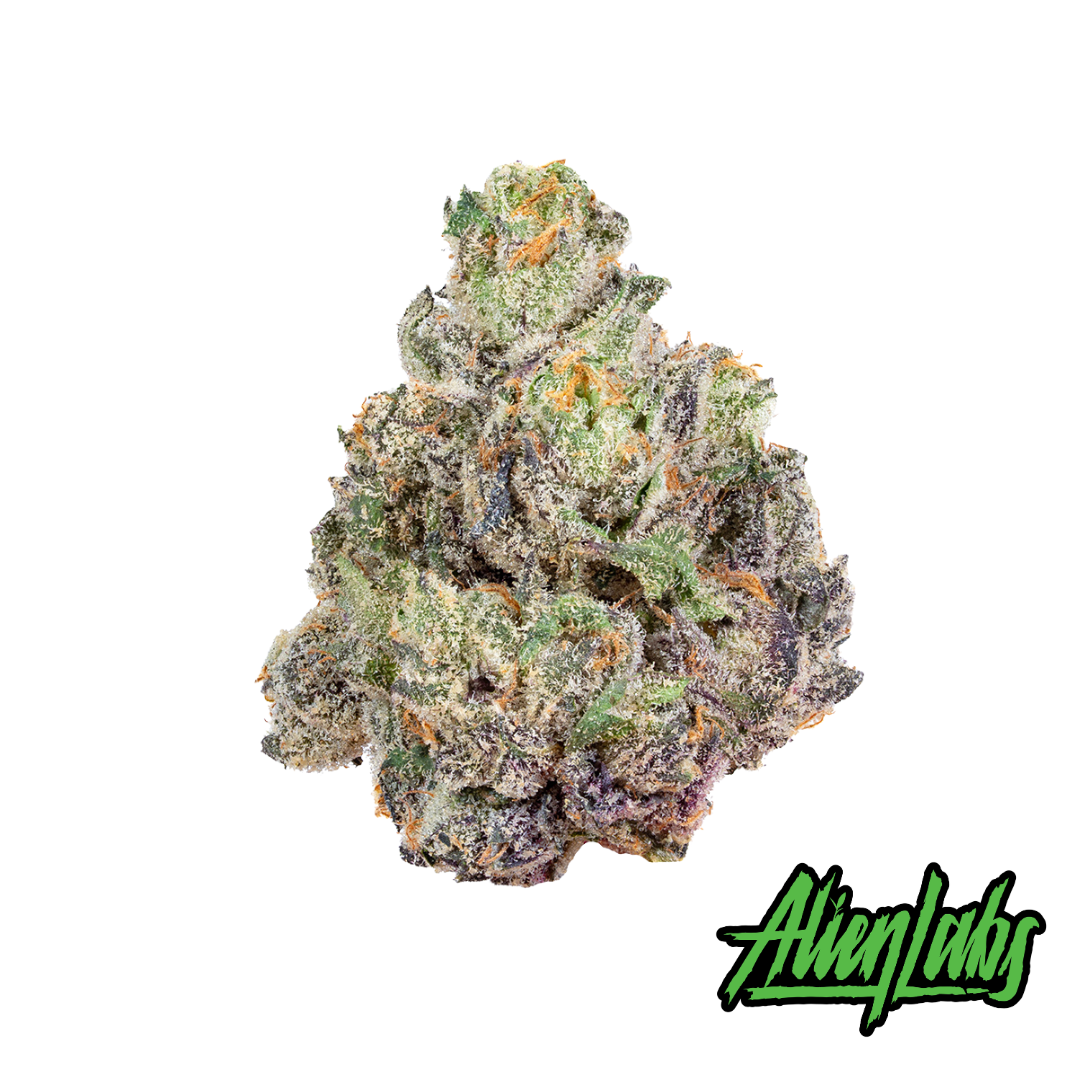 Shop AL-Flower-3.5g-XJ13-H-FL Online | Trulieve