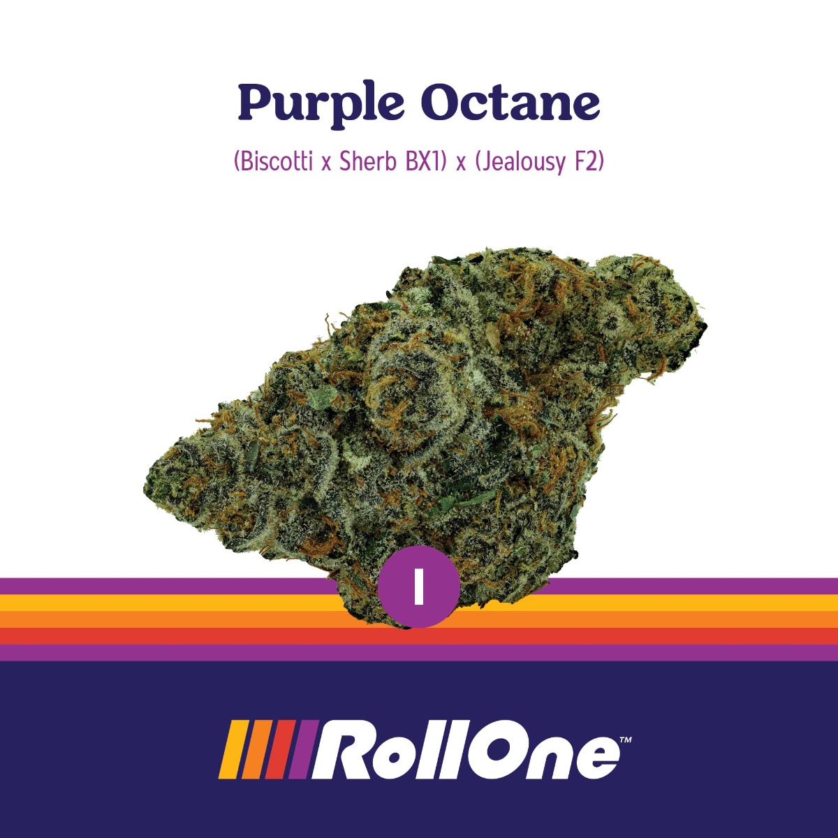 Purple Octane Flower